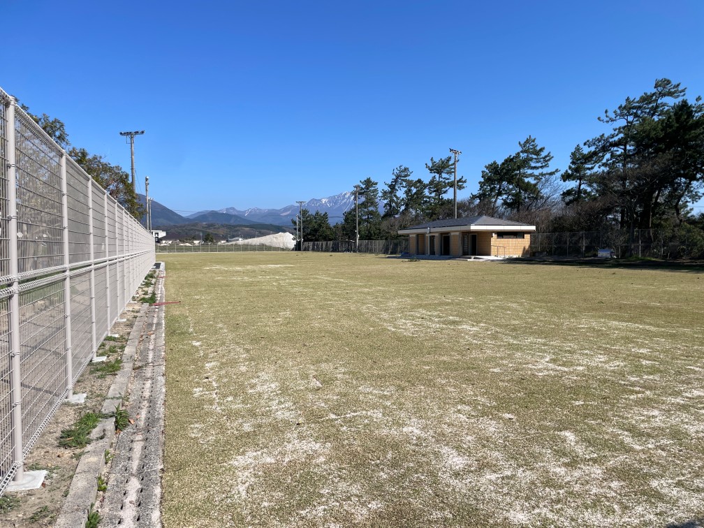 広々とした天然芝の広場