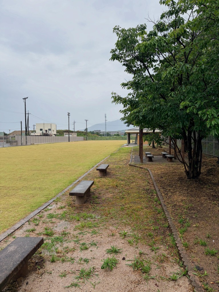 園内の遊歩道とベンチ