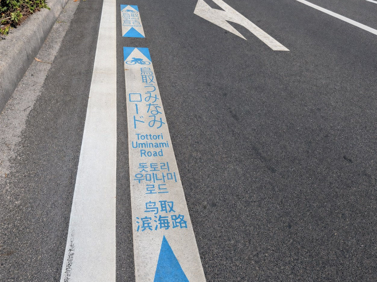 鳥取うみなみロードと多言語で記された路面表示と青い矢印