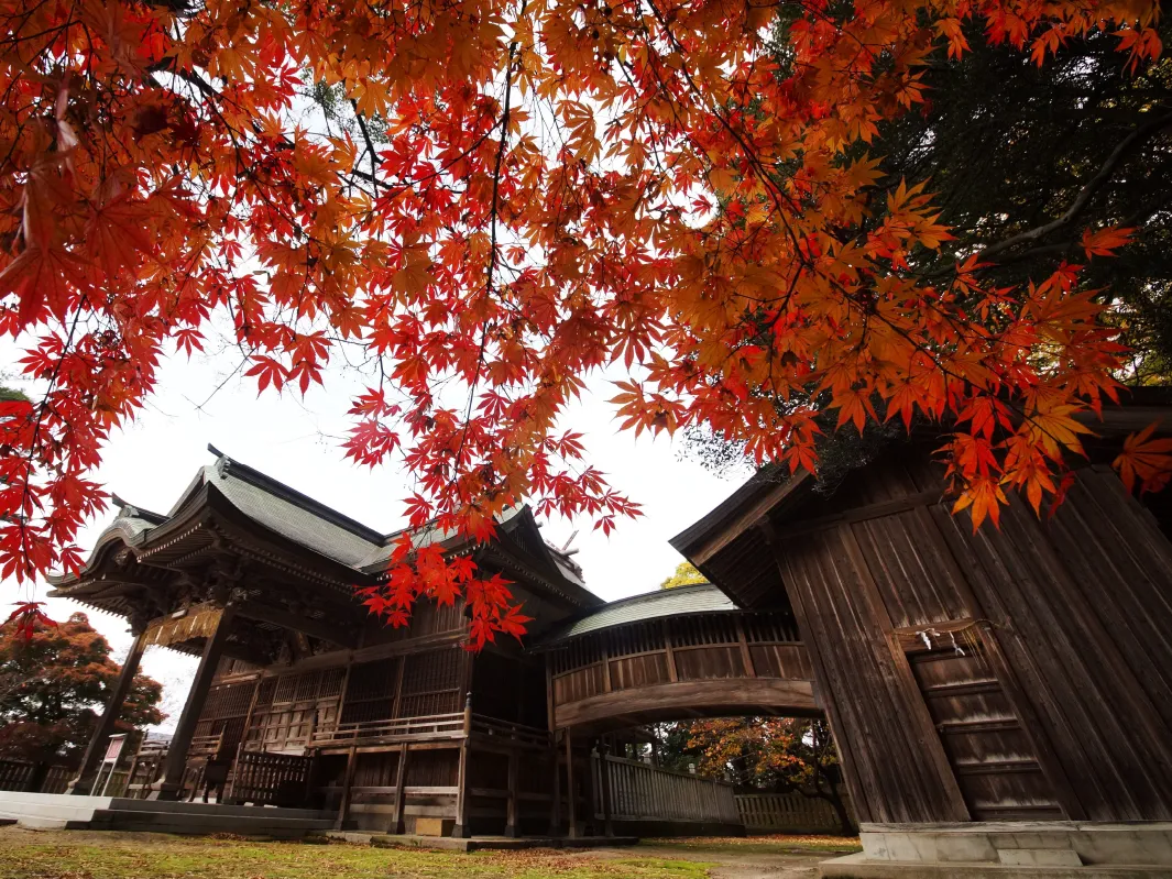 秋の蚊帳島神社