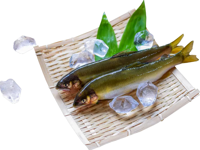 鮎