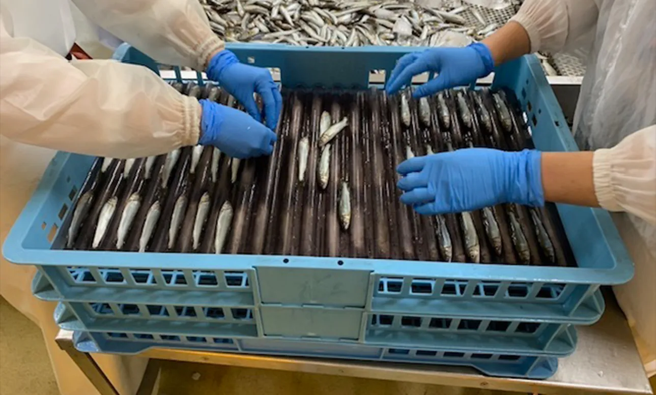 環境に配慮した飼育