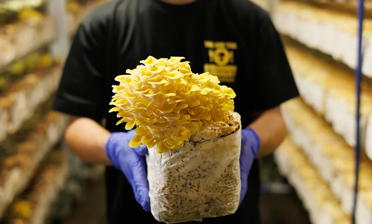 安心して使える原材料