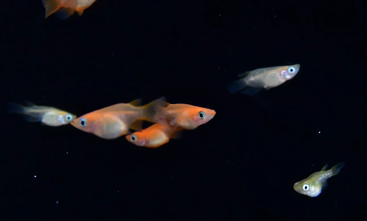 メンバーで育てる楽しさ