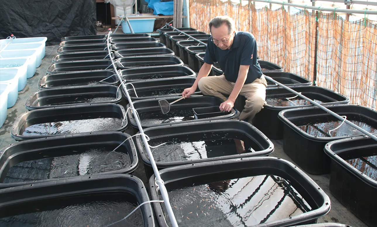 メ・ラボによる取り組み