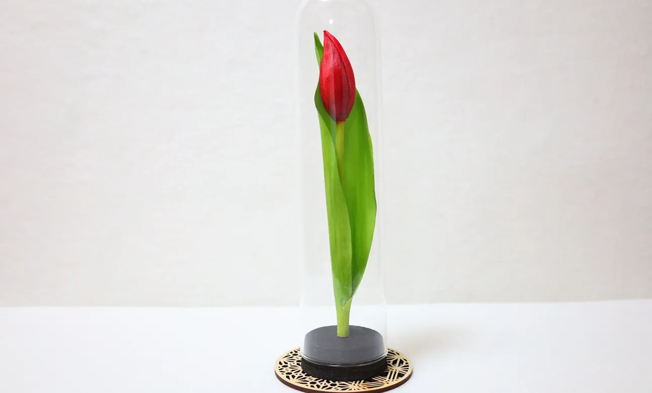 チューリップの美しさをそのままに