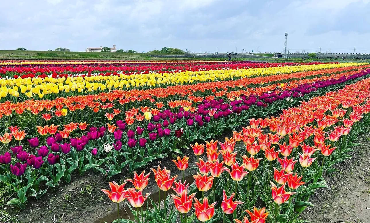 受け継いでいくためのかたち