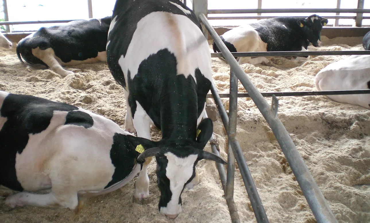 生産から提供までの体制